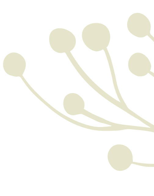 sirr fruits