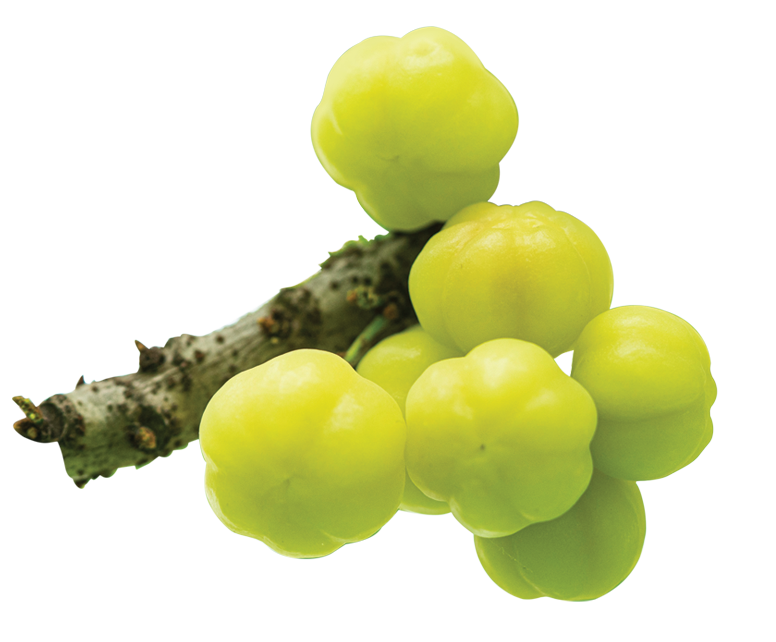 sirr fruits