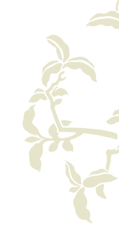 sirr fruits